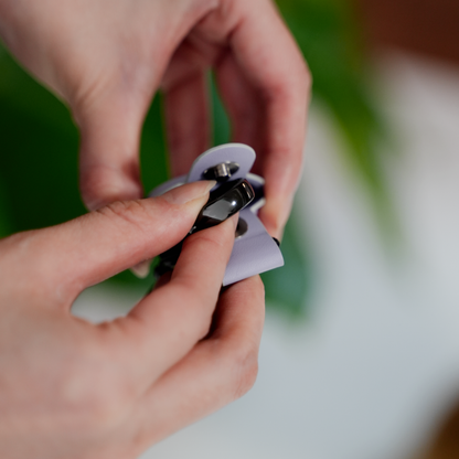EVERING Ring Case（リングケース）